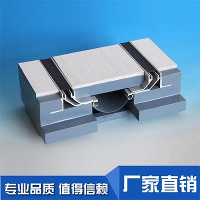 双列嵌楼地面国标变形缝联动长沙变形缝 专业品质图片_高清图_细节图-常熟市古里镇白茆联航变形缝装置厂